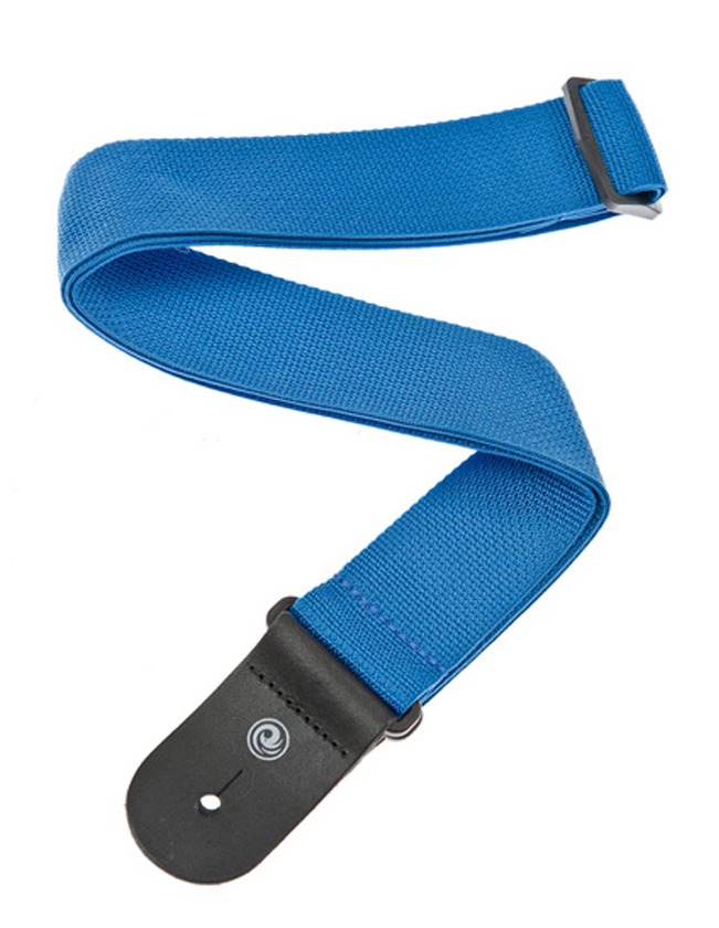 PLANETWAVESPWS10250MMPOLYPROPYLENESTRAP,BLU