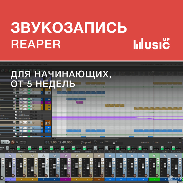 Как подключить звуковую карту к reaper