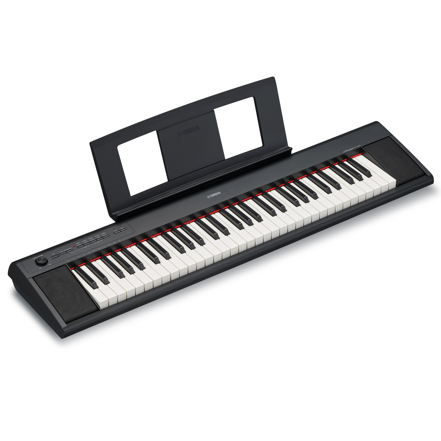 yamaha piaggero np12 case