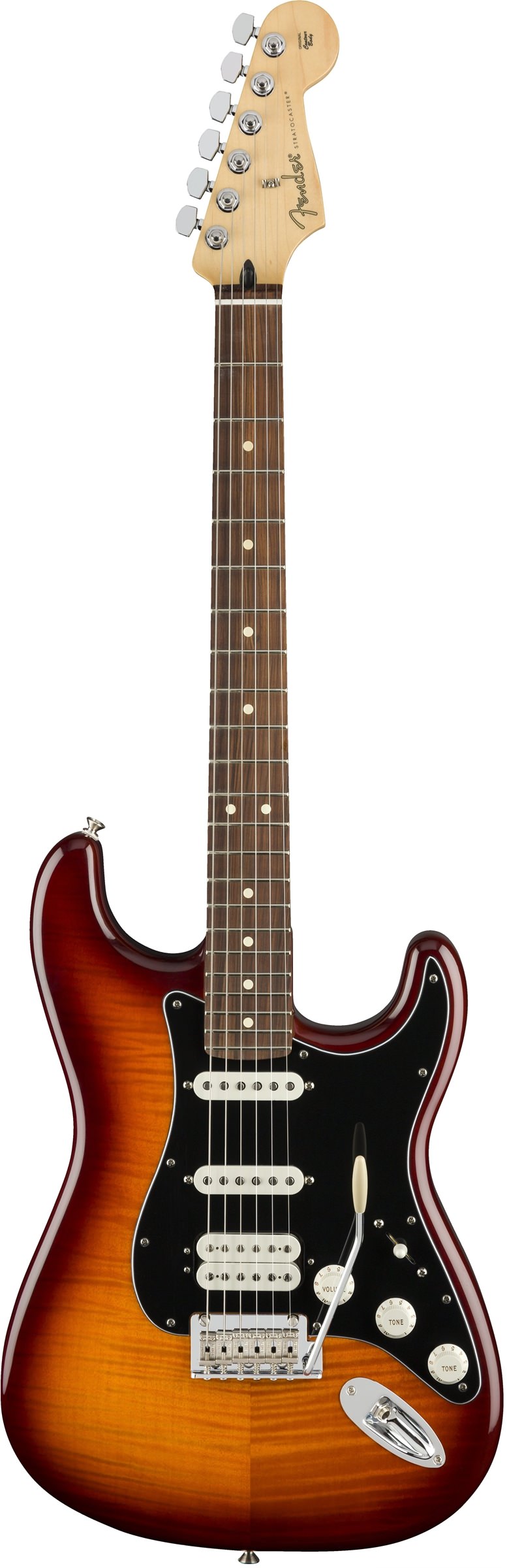 fender stratocaster player plus top hss