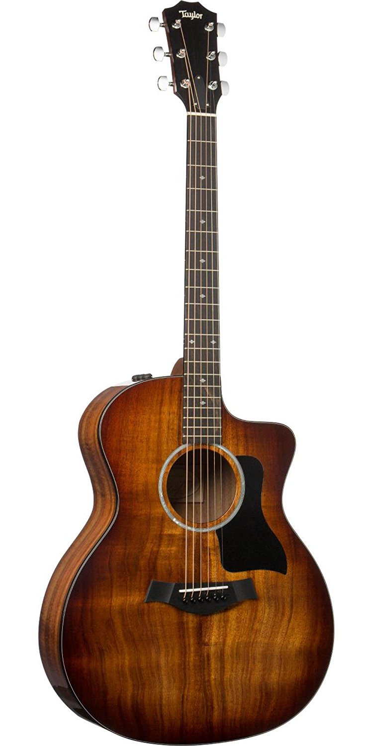 taylor 224ce dlx koa